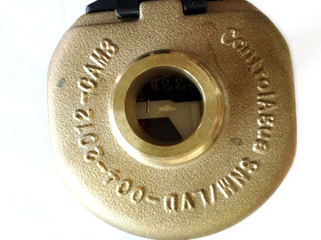 Brass Rotary Piston nước Meter Lạnh ISO 4064 R160, LXH-15A